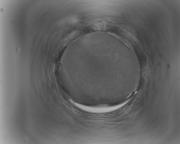 X0000065980233200603061222