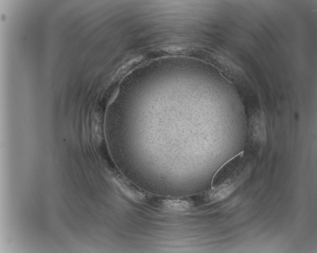 X0000065980234200603061222