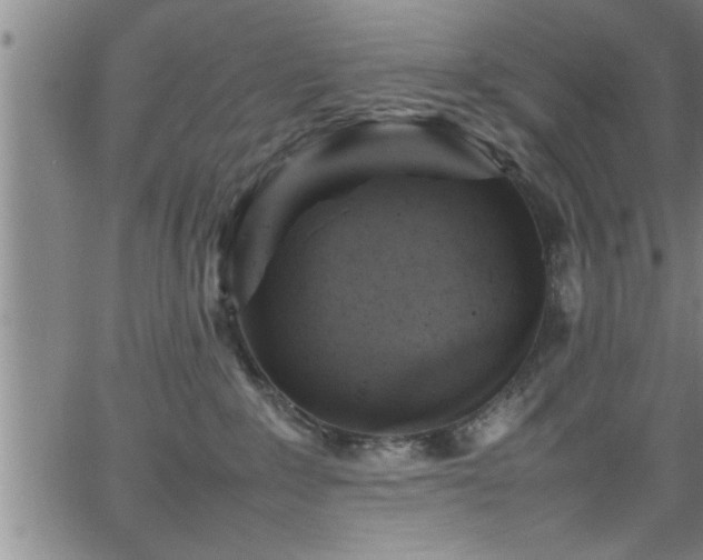 X0000065980235200603061222