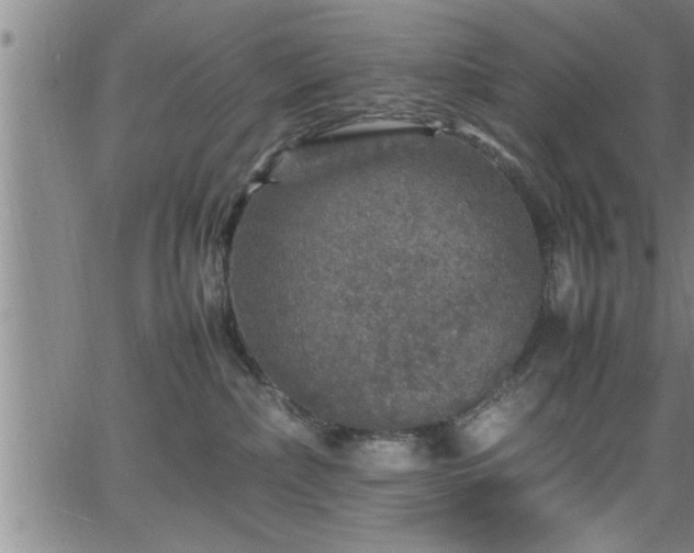 X0000065980236200603061222