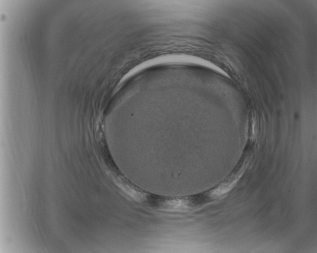 X0000065980237200603061222