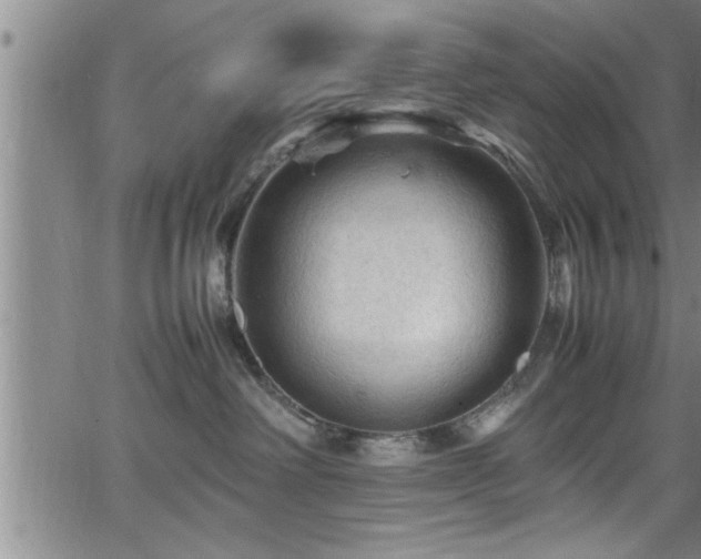 X0000065980238200603061222