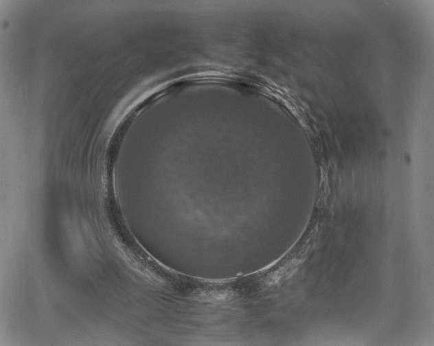 X0000065980247200603061221