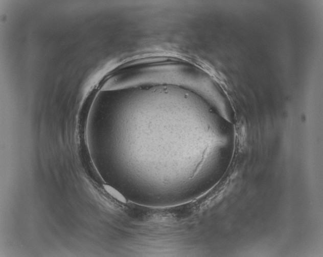 X0000065980248200603061221