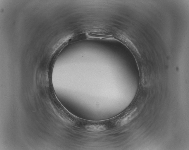 X0000065980251200603061221