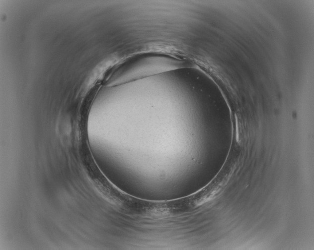 X0000065980252200603061221