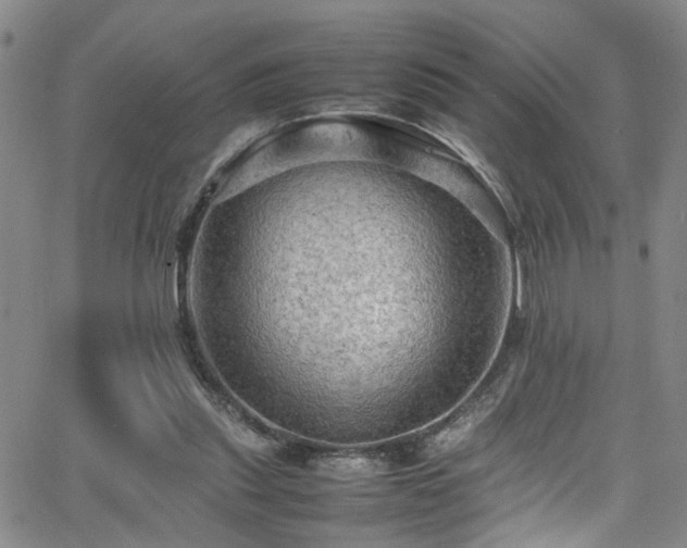 X0000065980253200603061221