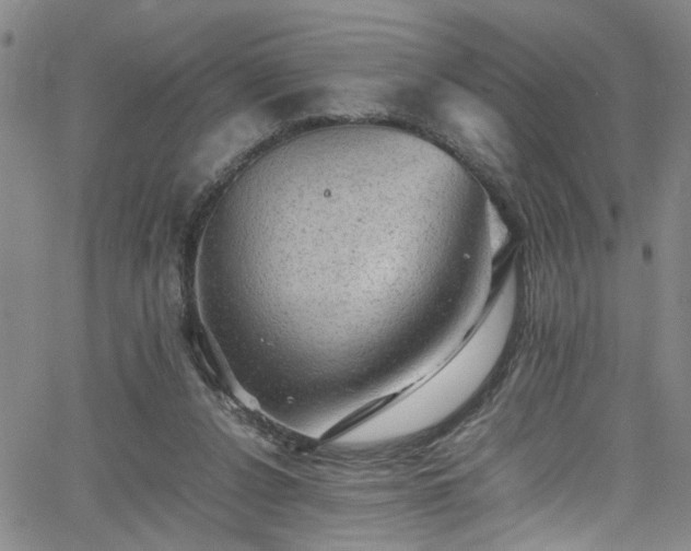 X0000065980256200603061222