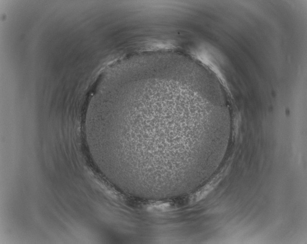 X0000065980257200603061222