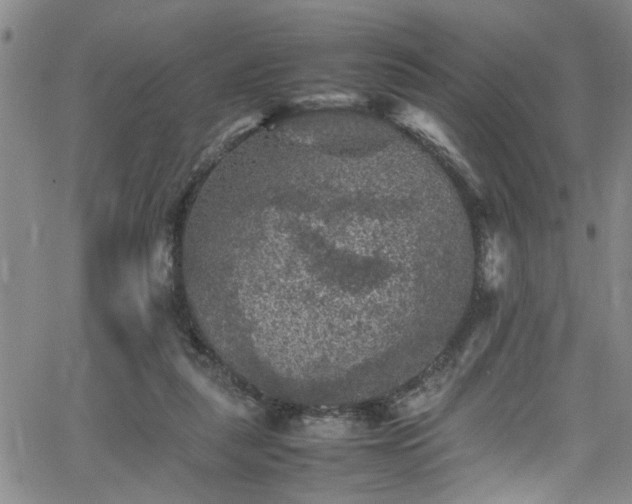 X0000065980259200603061222