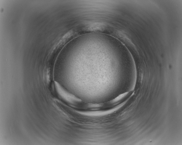 X0000065980260200603061222