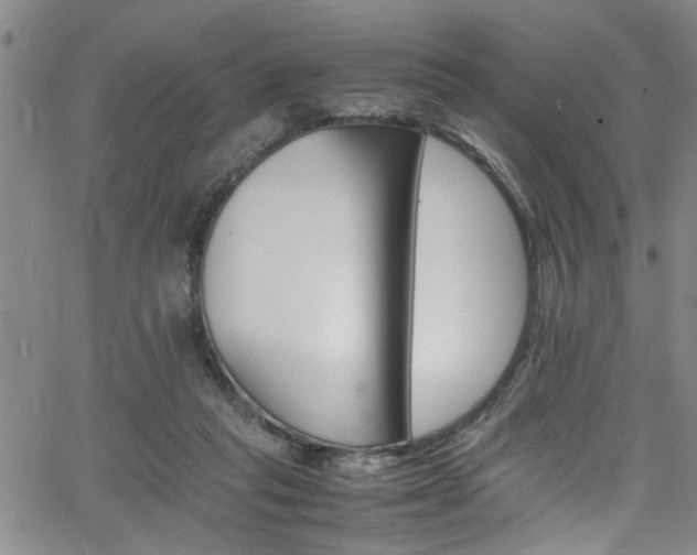 X0000065980261200603061222