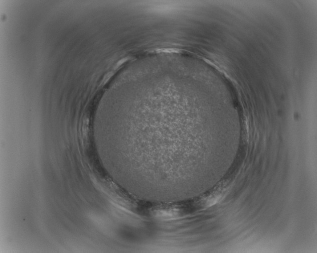 X0000065980263200603061222