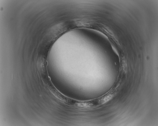 X0000065980265200603061222