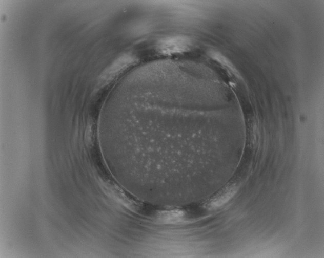 X0000065980266200603061222