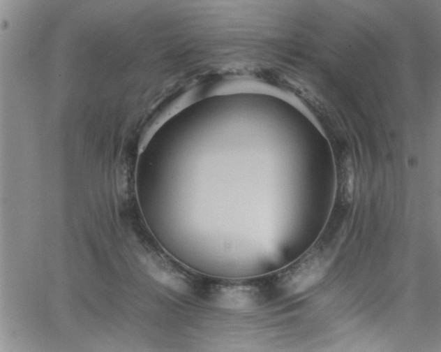 X0000065980268200603061222