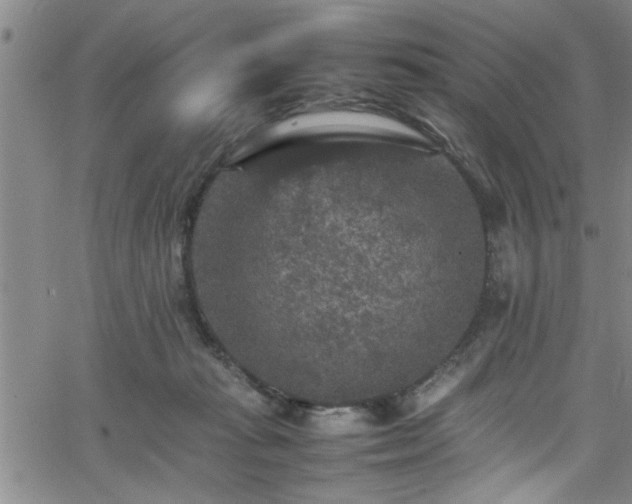 X0000065980269200603061222