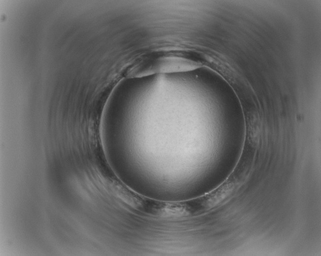 X0000065980270200603061222