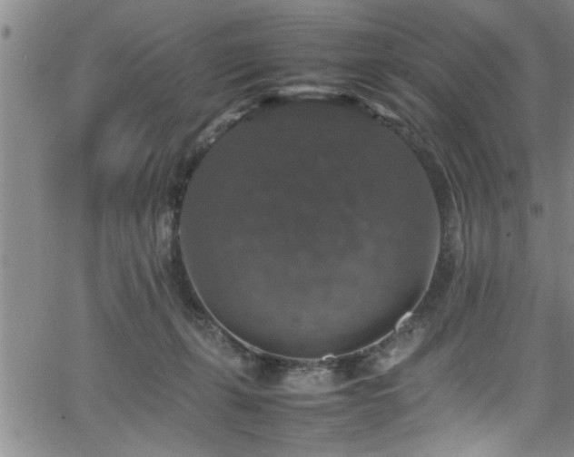 X0000065980271200603061222