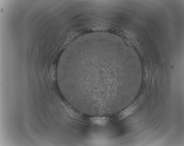 X0000065980273200603061222