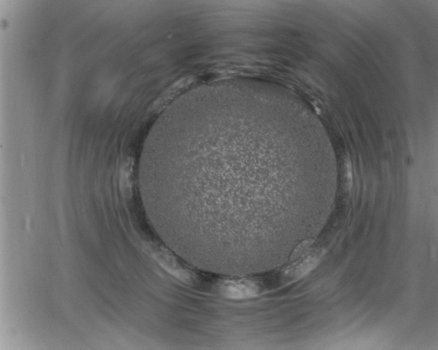 X0000065980275200603061222