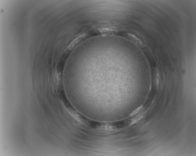 X0000065980276200603061222