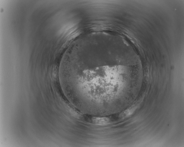 X0000065980277200603061222