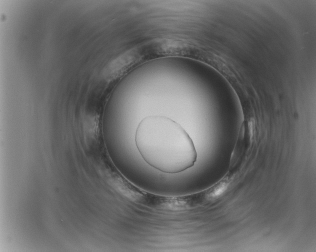 X0000065980278200603061222