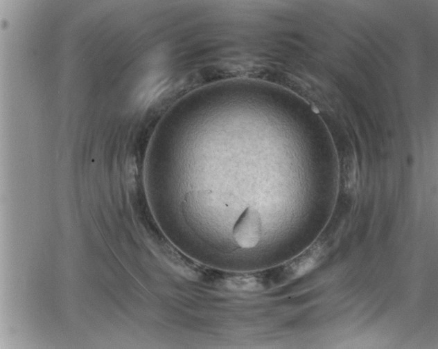 X0000065980279200603061222