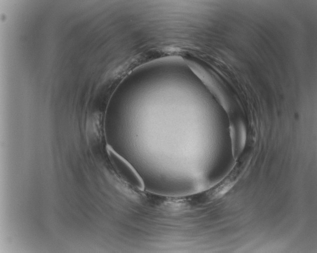 X0000065980280200603061222