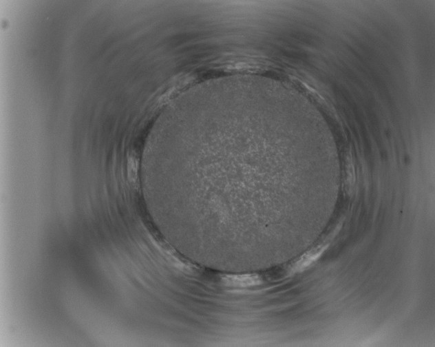 X0000065980281200603061222