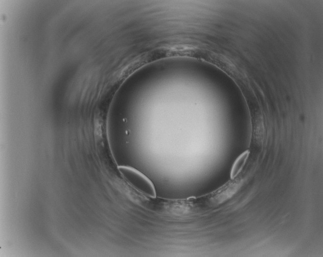 X0000065980282200603061222