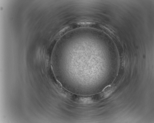 X0000065980283200603061222