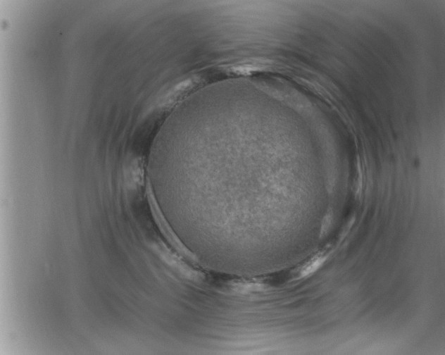 X0000065980284200603061222