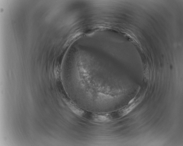 X0000065980285200603061222