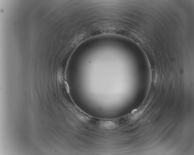 X0000065980287200603061222