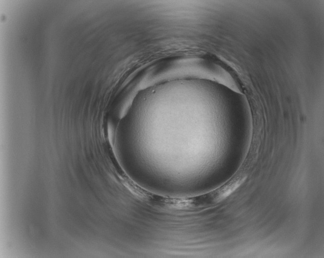 X0000065980288200603061222