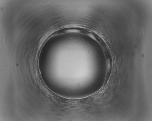 X0000065980289200603061221