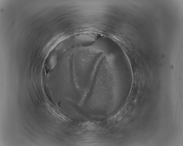 X0000065980290200603061221