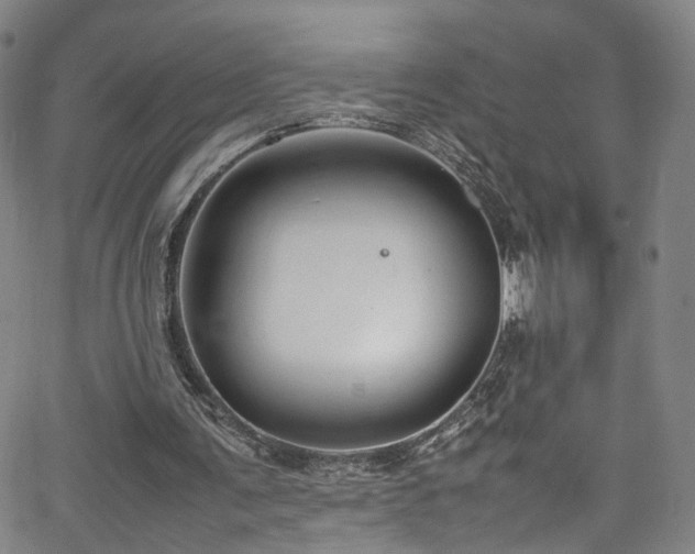 X0000065980291200603061221