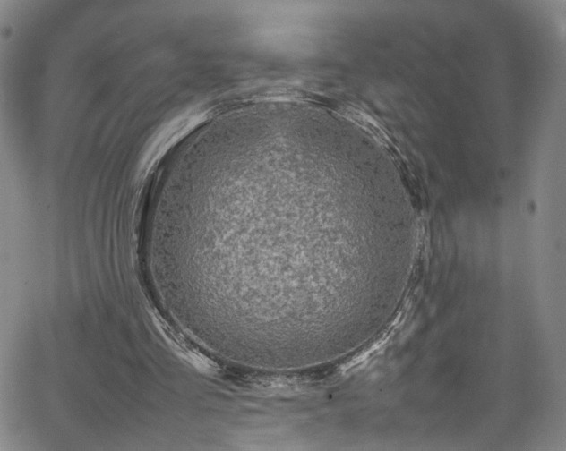 X0000065980293200603061221