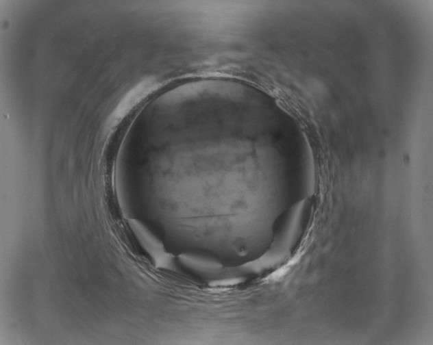 X0000065980295200603061221