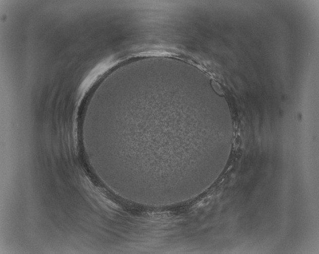 X0000065980296200603061221