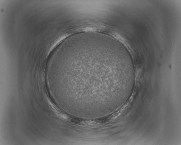 X0000065980297200603061221