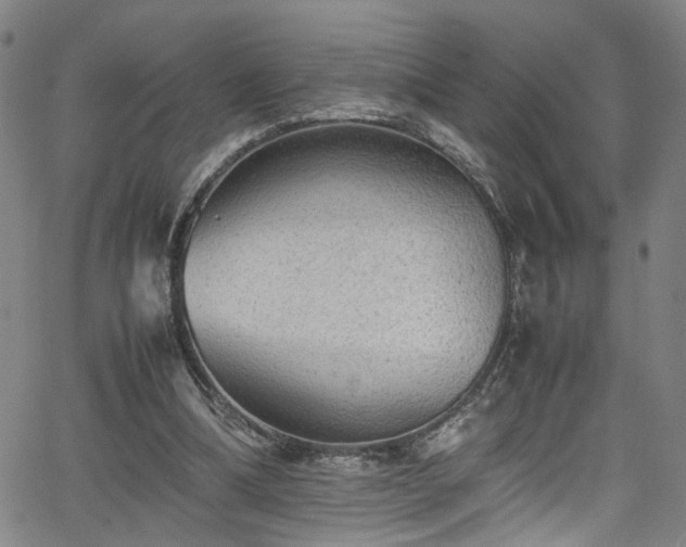 X0000065980298200603061221