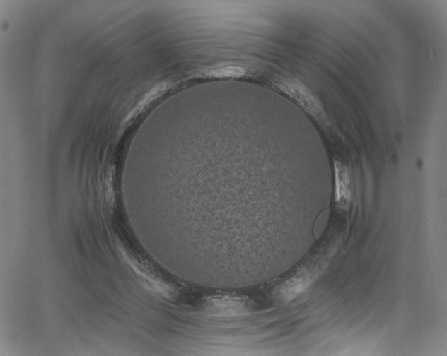 X0000065980300200603061221