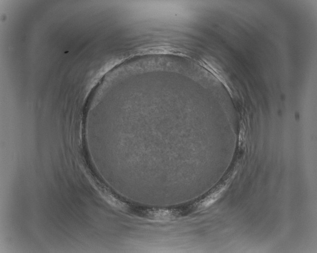 X0000065980301200603061221