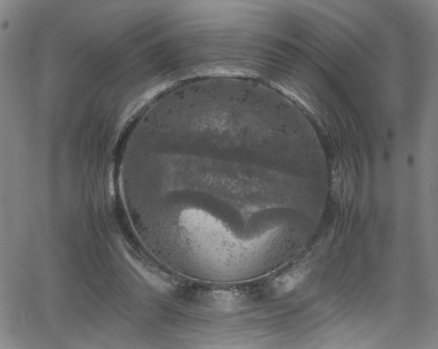 X0000065980302200603061221