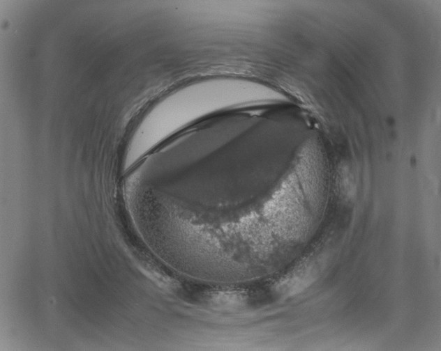 X0000065980303200603061221