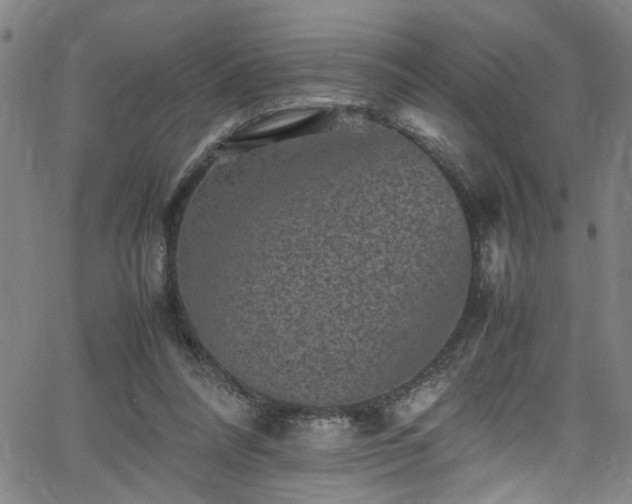 X0000065980304200603061221